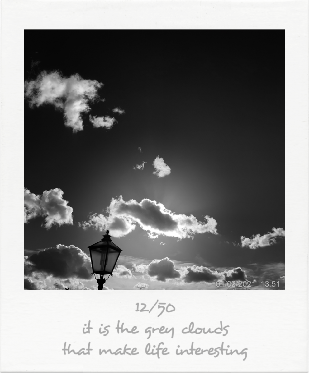 12_IMG_1055