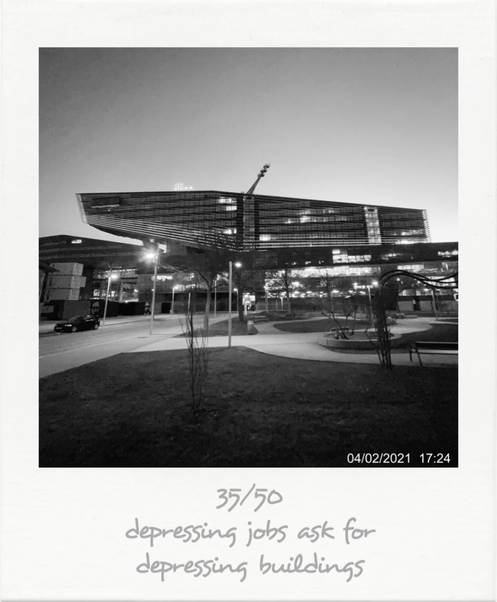 35_IMG_1001