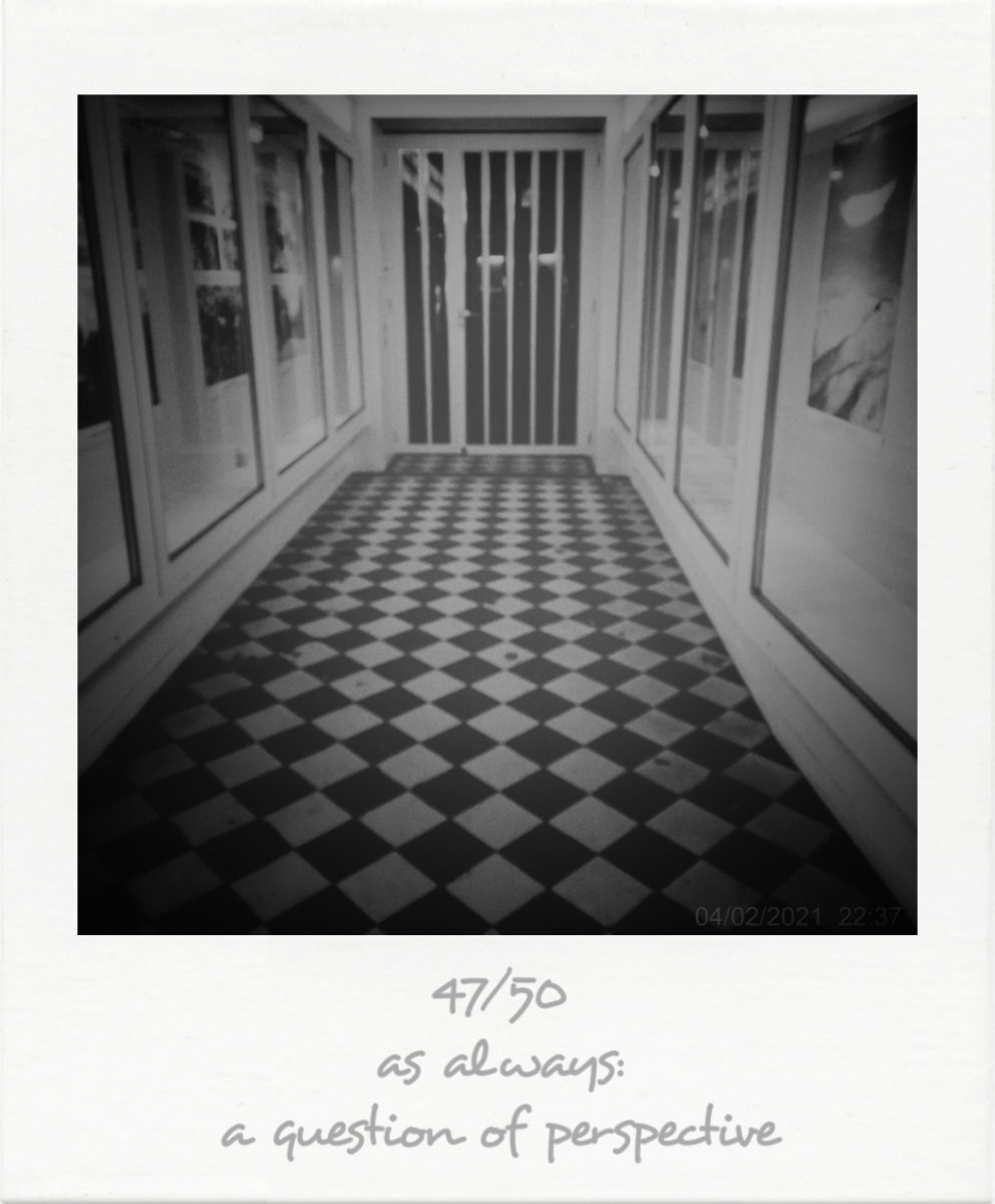 47_IMG_0974