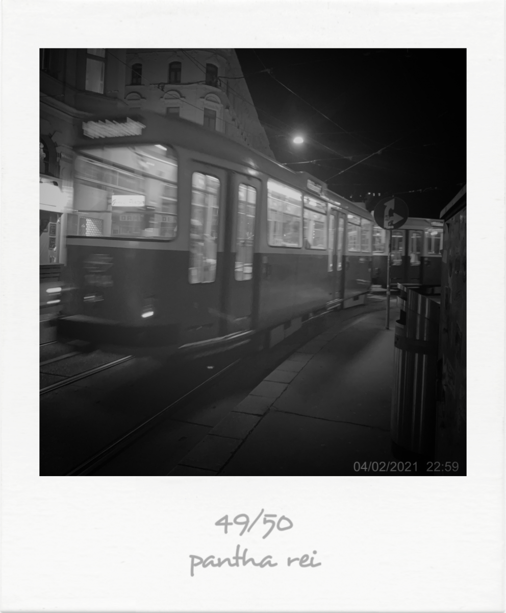 49_IMG_0983